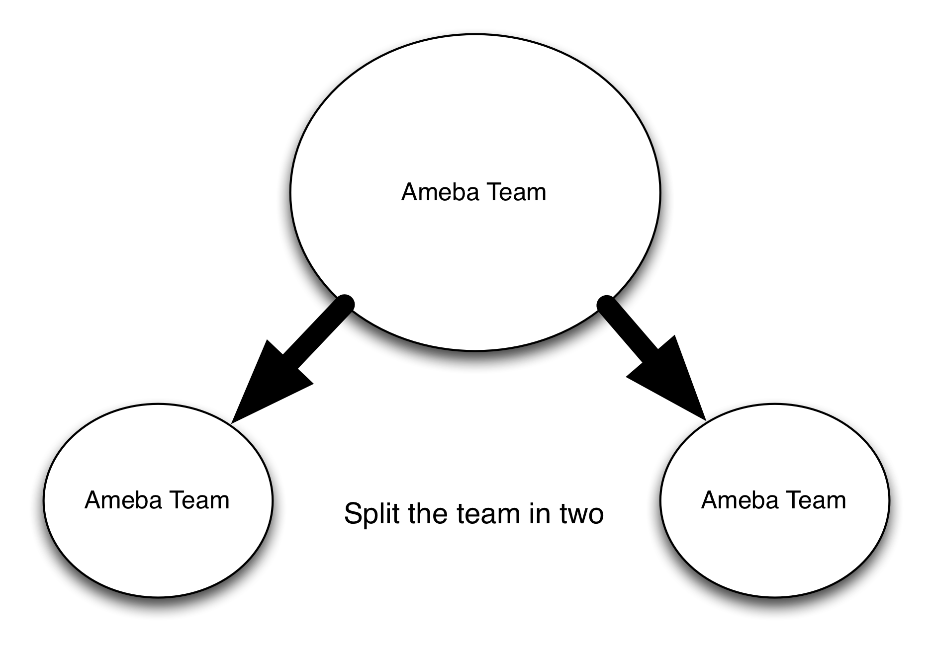 Ameba Team Split