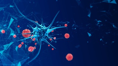 iStock-952804252s-2019-06-6-15-18.jpg